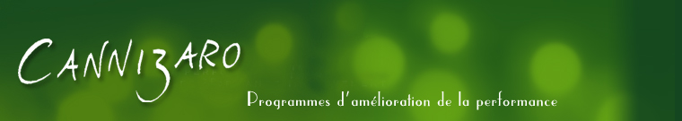 cannizaro ltd